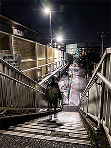 小島新田駅前の歩道橋